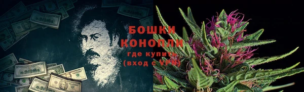 дурь Аркадак