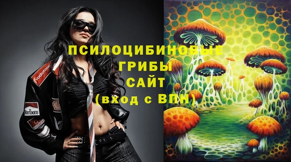 a pvp Арсеньев